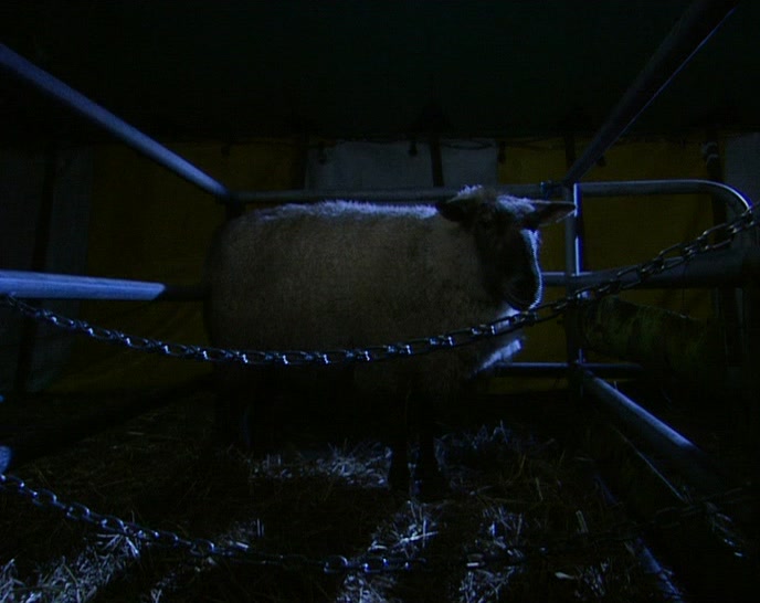 (GIANT) 'HAS IT KILLED YET?'  