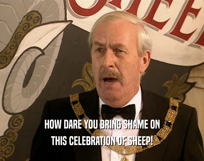 HOW DARE YOU BRING SHAME ON THIS CELEBRATION OF SHEEP! 