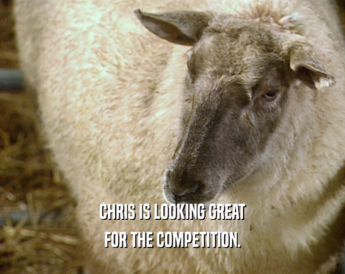 CHRIS IS LOOKING GREAT FOR THE COMPETITION. 