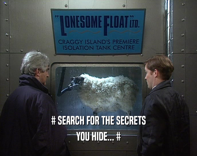 # SEARCH FOR THE SECRETS YOU HIDE... # 