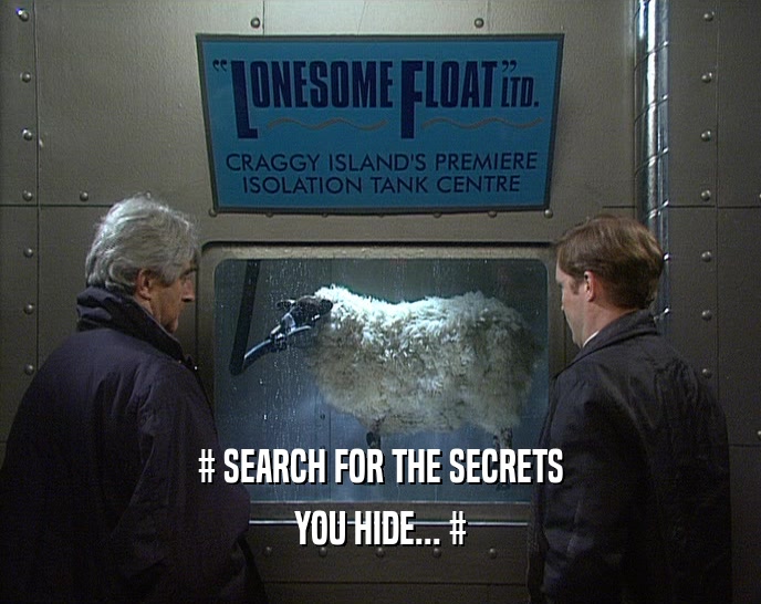 # SEARCH FOR THE SECRETS YOU HIDE... # 