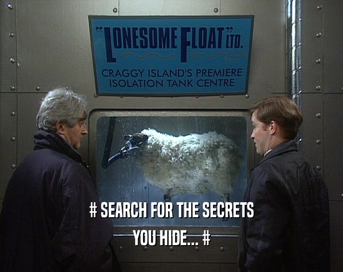 # SEARCH FOR THE SECRETS YOU HIDE... # 