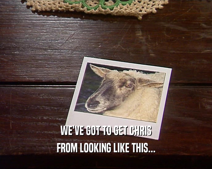 WE'VE GOT TO GET CHRIS FROM LOOKING LIKE THIS... 