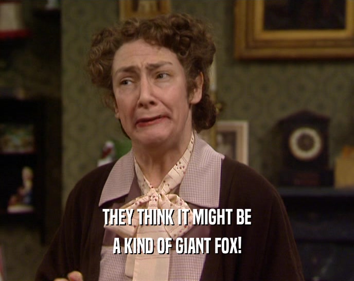 THEY THINK IT MIGHT BE A KIND OF GIANT FOX! 