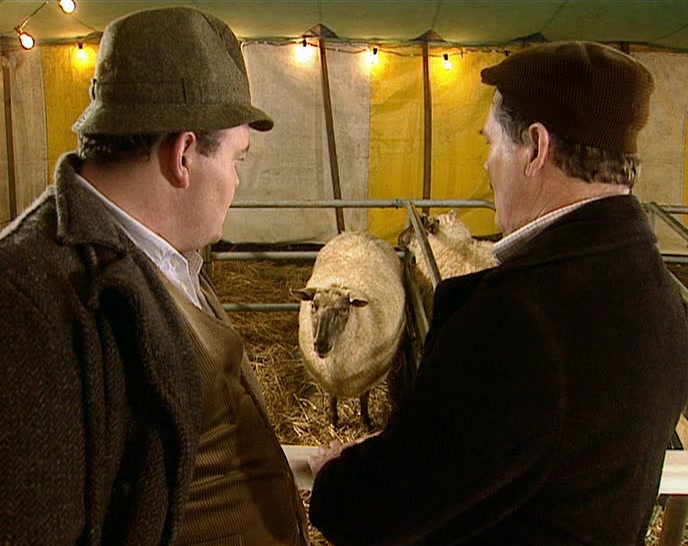 - HAS IT KILLED YET? - NO, BUT IT'S ONLY A MATTER OF TIME. 