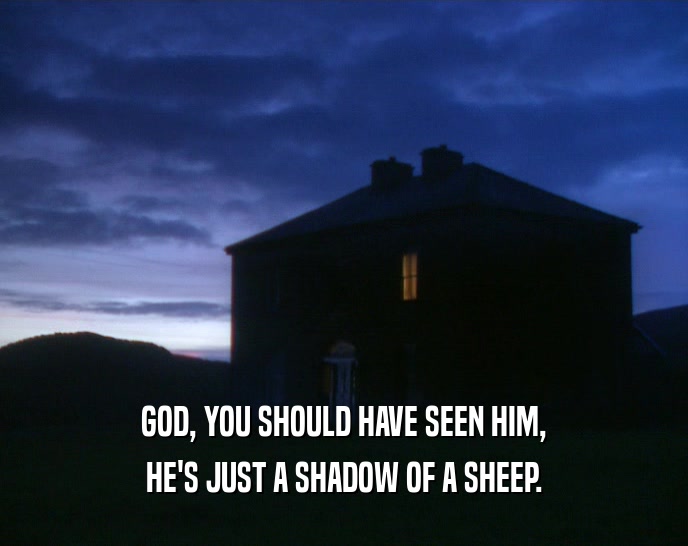 GOD, YOU SHOULD HAVE SEEN HIM, HE'S JUST A SHADOW OF A SHEEP. 