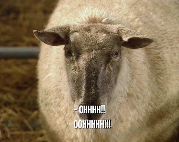 - OHHHH!! - OOHHHHH!!! 