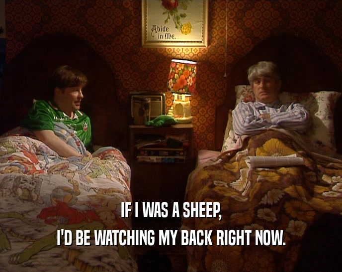IF I WAS A SHEEP,
 I'D BE WATCHING MY BACK RIGHT NOW.
 