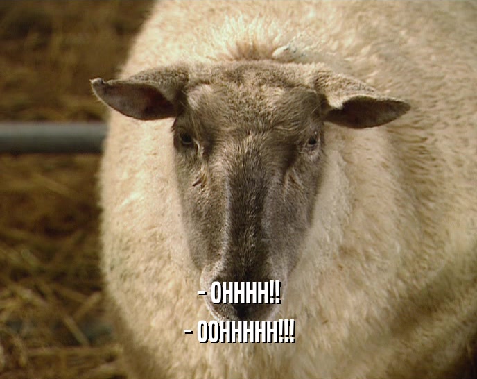 - OHHHH!! - OOHHHHH!!! 