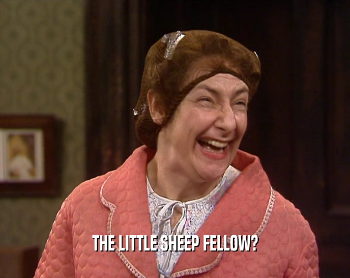 THE LITTLE SHEEP FELLOW?  