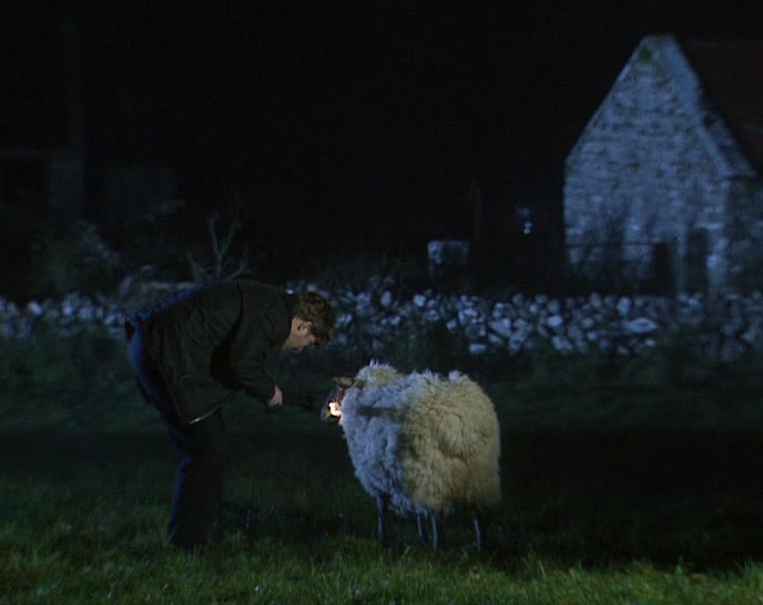 HE'S FINE! HE MUST'VE REALISED IT WAS A BIG STEREO IN A TREE! 