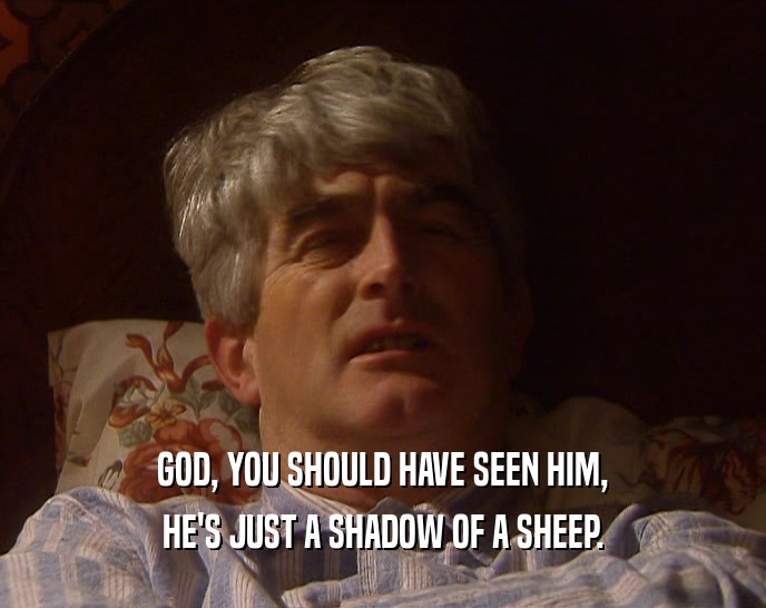 GOD, YOU SHOULD HAVE SEEN HIM, HE'S JUST A SHADOW OF A SHEEP. 