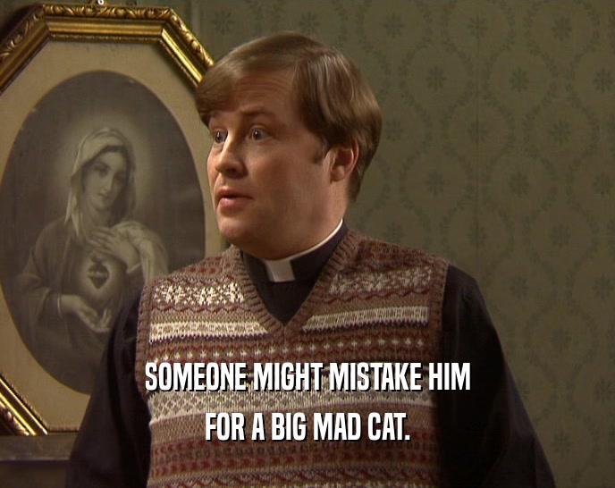 SOMEONE MIGHT MISTAKE HIM FOR A BIG MAD CAT. 