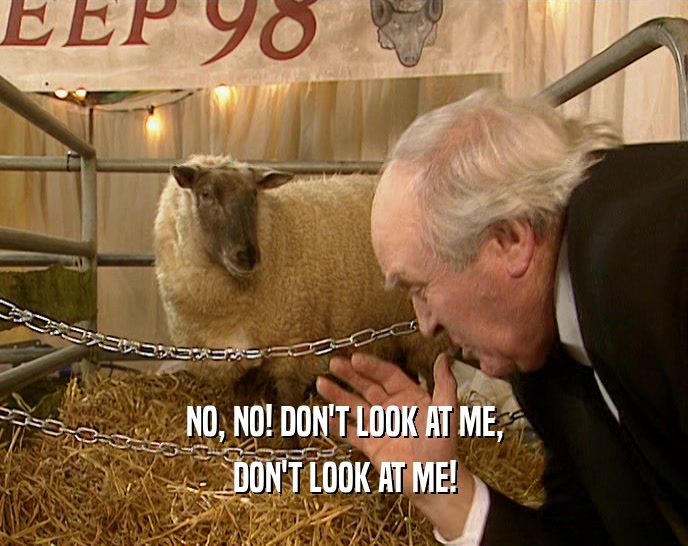 NO, NO! DON'T LOOK AT ME, DON'T LOOK AT ME! 