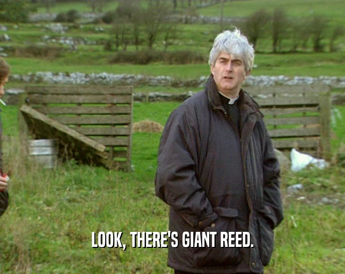 LOOK, THERE'S GIANT REED.  