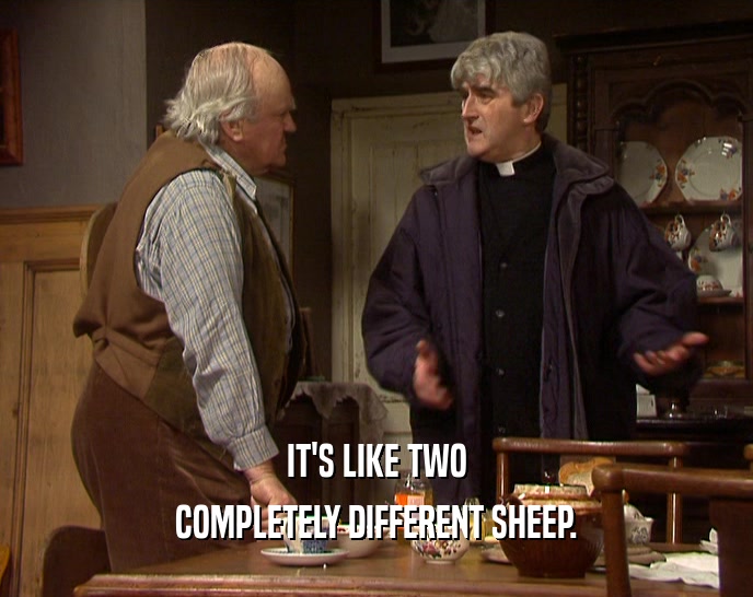 IT'S LIKE TWO COMPLETELY DIFFERENT SHEEP. 