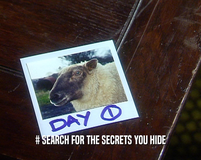 # SEARCH FOR THE SECRETS YOU HIDE
  