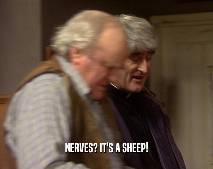 NERVES? IT'S A SHEEP!  