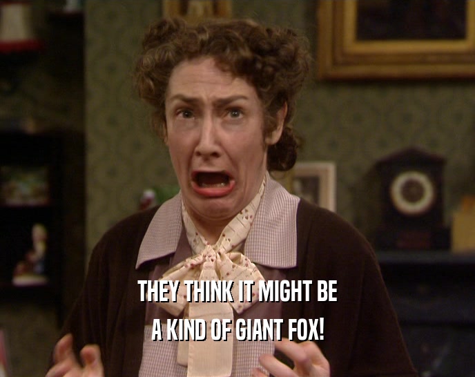 THEY THINK IT MIGHT BE A KIND OF GIANT FOX! 