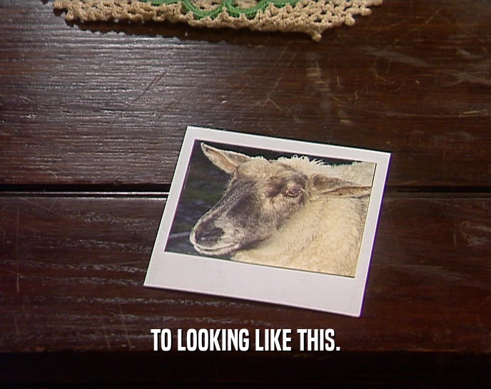 TO LOOKING LIKE THIS.  