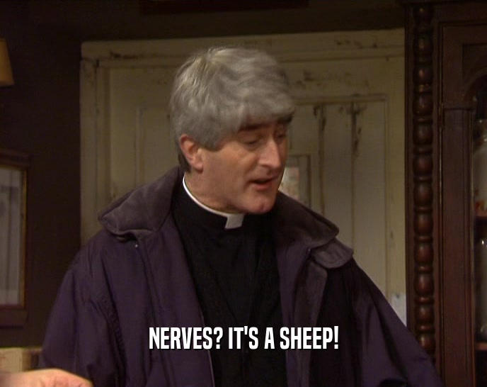NERVES? IT'S A SHEEP!  