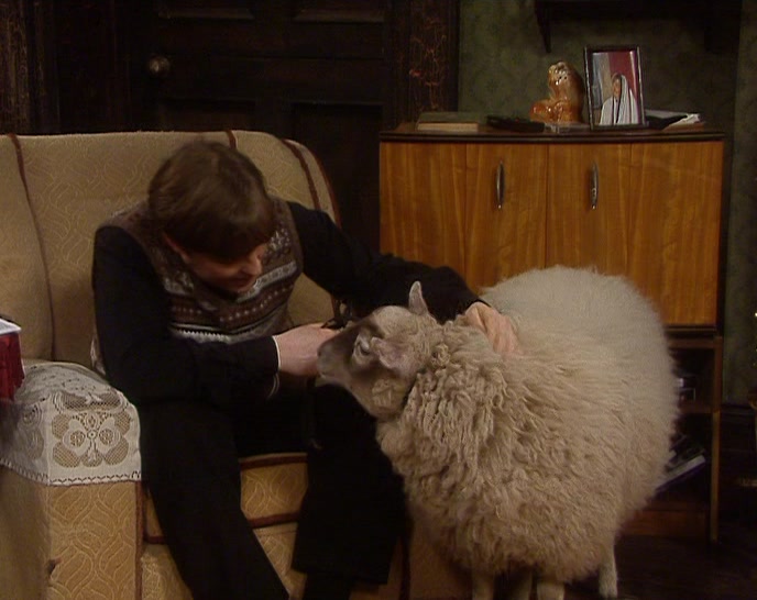 HE'S THE BEST...FECKING SHEEP EVER.  