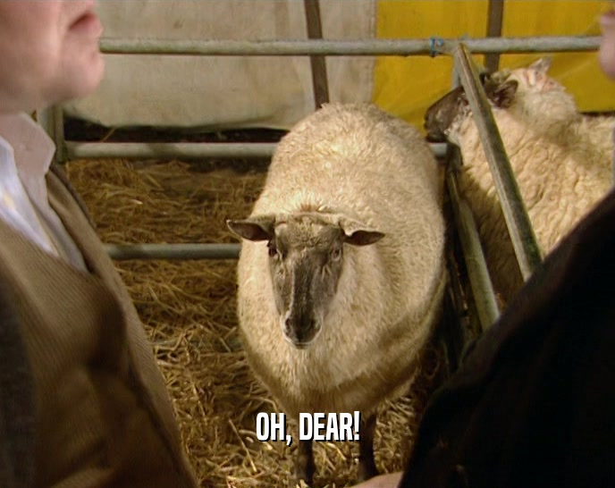 OH, DEAR!  