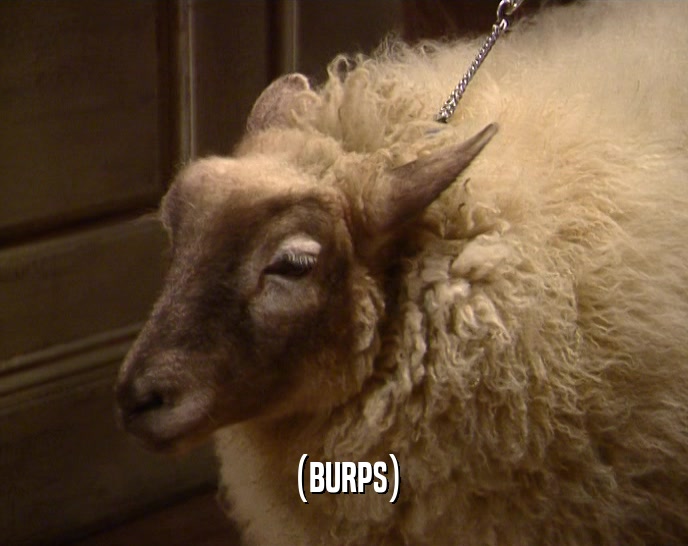 (BURPS)  