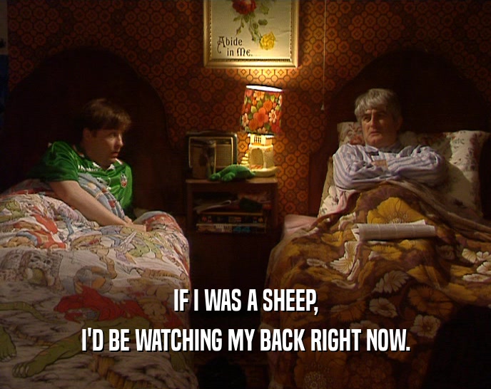IF I WAS A SHEEP, I'D BE WATCHING MY BACK RIGHT NOW. 