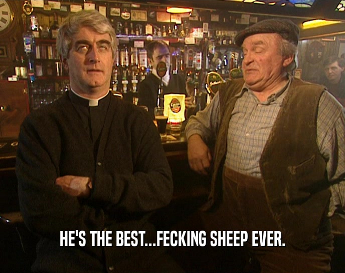 HE'S THE BEST...FECKING SHEEP EVER.  