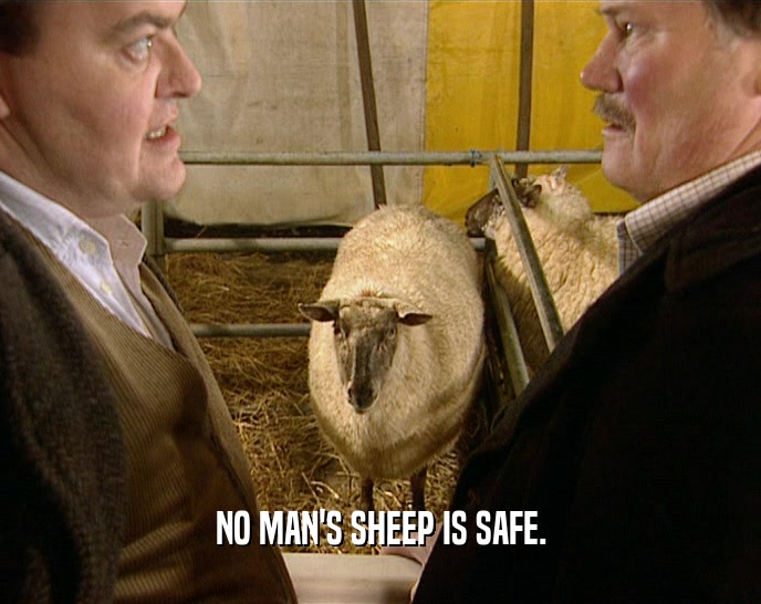 NO MAN'S SHEEP IS SAFE.
  
