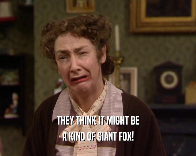THEY THINK IT MIGHT BE A KIND OF GIANT FOX! 