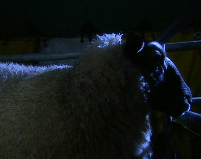 - 'OHHHH...' - (HOWL) 