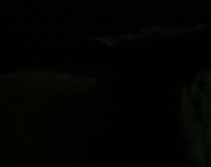 (SILENCE)  