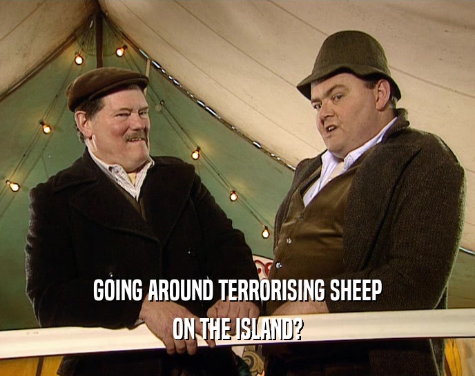GOING AROUND TERRORISING SHEEP
 ON THE ISLAND?
 