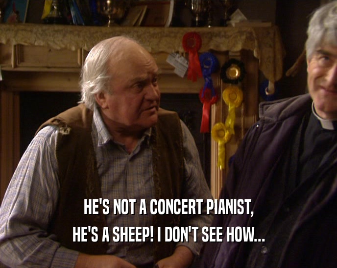 HE'S NOT A CONCERT PIANIST, HE'S A SHEEP! I DON'T SEE HOW... 
