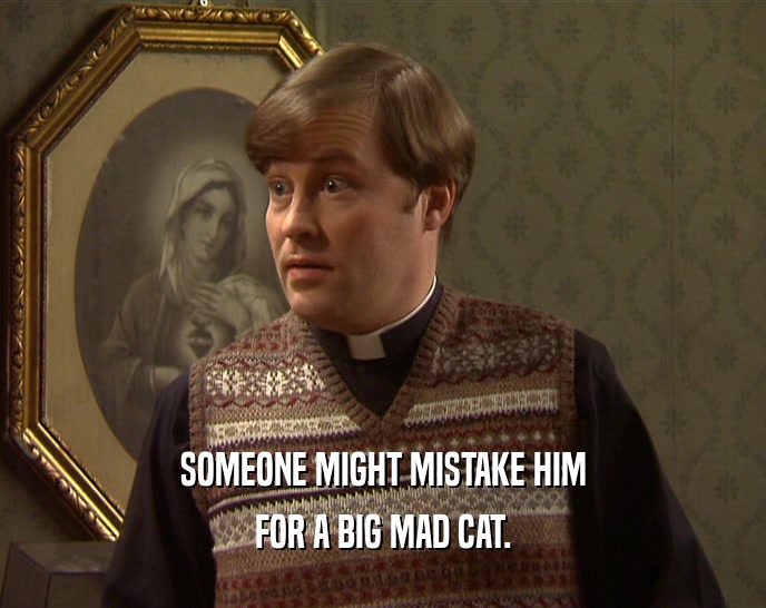 SOMEONE MIGHT MISTAKE HIM FOR A BIG MAD CAT. 