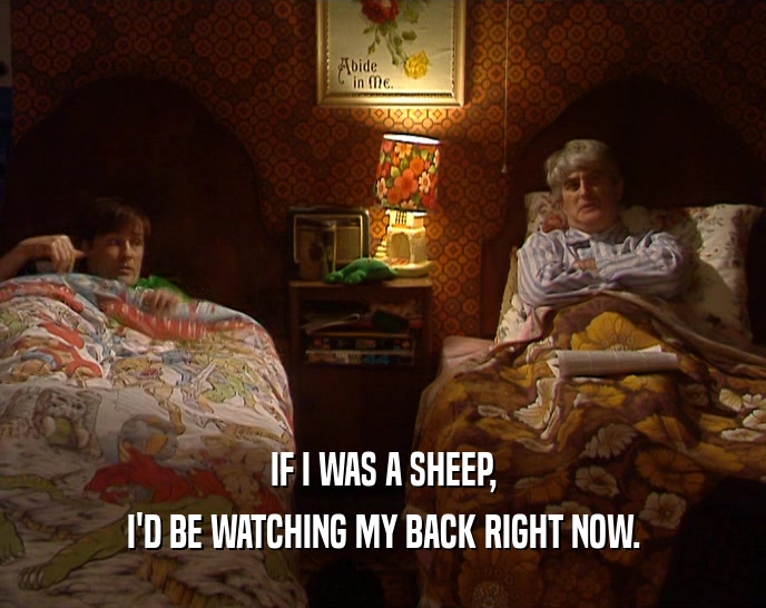IF I WAS A SHEEP, I'D BE WATCHING MY BACK RIGHT NOW. 