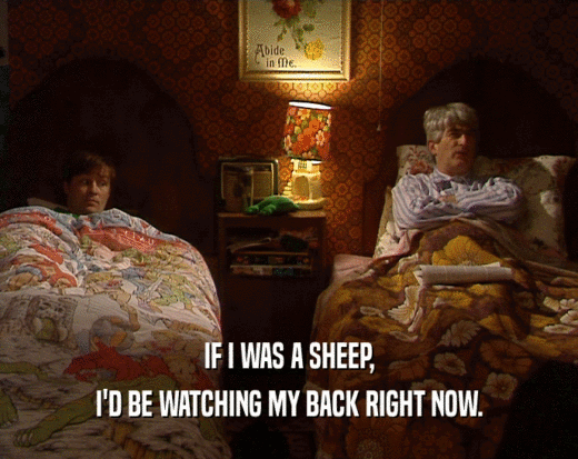 IF I WAS A SHEEP,
 I'D BE WATCHING MY BACK RIGHT NOW.
 
