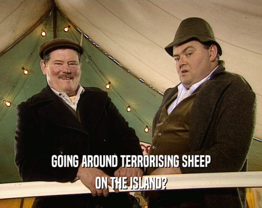 GOING AROUND TERRORISING SHEEP
 ON THE ISLAND?
 
