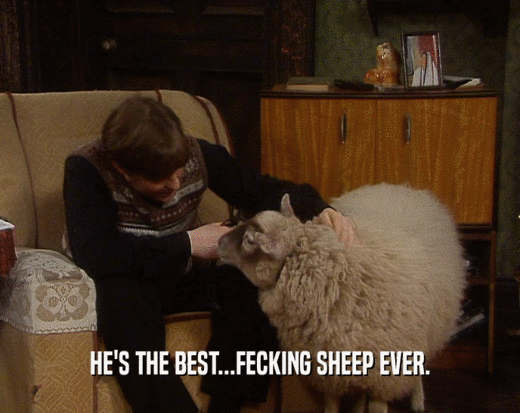 HE'S THE BEST...FECKING SHEEP EVER.
  