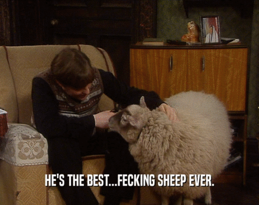 HE'S THE BEST...FECKING SHEEP EVER.  