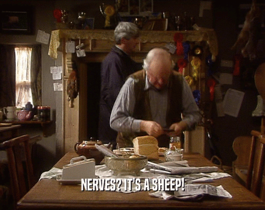 NERVES? IT'S A SHEEP!  