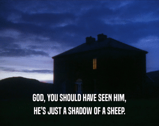 GOD, YOU SHOULD HAVE SEEN HIM,
 HE'S JUST A SHADOW OF A SHEEP.
 