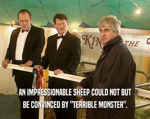 AN IMPRESSIONABLE SHEEP COULD NOT BUT BE CONVINCED BY 