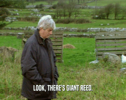 LOOK, THERE'S GIANT REED.  