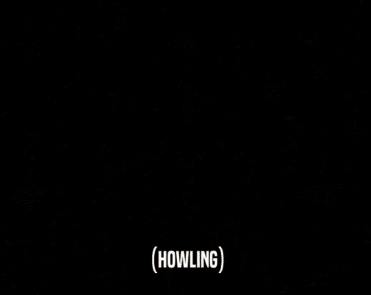 (HOWLING)  