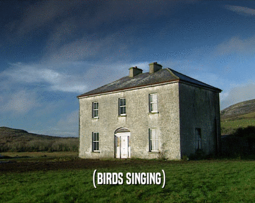 (BIRDS SINGING)  