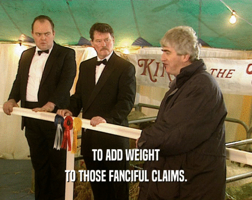 TO ADD WEIGHT TO THOSE FANCIFUL CLAIMS. 