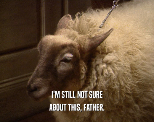 I'M STILL NOT SURE ABOUT THIS, FATHER. 